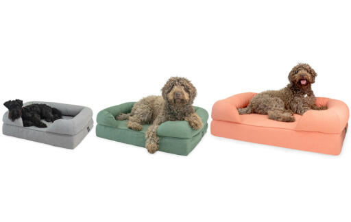 Drie verschillende maten bolsterbedden, small medium en large in drie verschillende kleuren, grijs, groen en roze