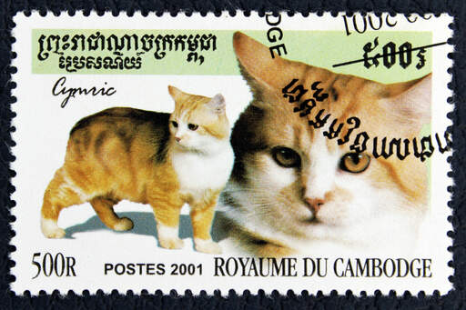 Een postzegel uit cambodja met een cymbische opdruk