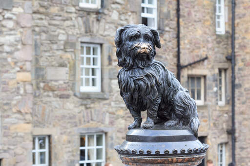 Greyfriars bobby standbeeld van een trouwe skye terriër die veertien jaar bij het graf van zijn baasje bleef staan