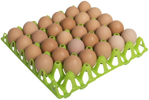 Gaun green eggs tray