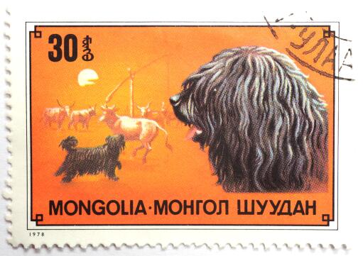 Een puli op een monGolian postzegel