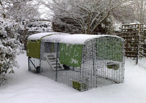 Groen Eglu Cube en rennen in de tuin bedekt met Snow