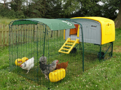 Eglu Cube zomerschaduw, afgebeeld op geel  kippenhok. Eglu Cube 