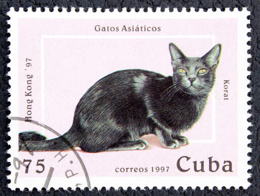 Een postzegel uit cuba met een korat kat erop gedrukt