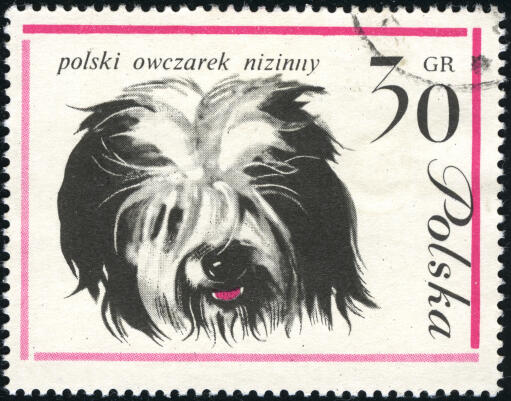 Een poolse laagland herdershond op een poolse postzegel