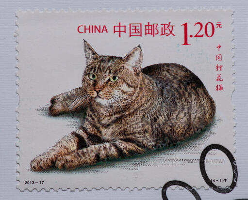Een postzegel uit china met een draGon li cat erop gedrukt