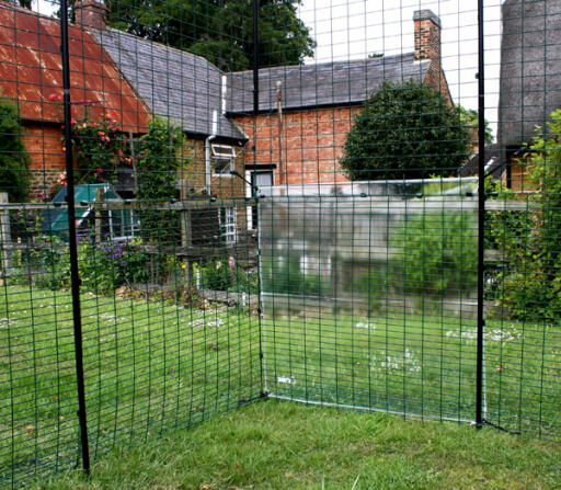 Binnen kippenren in de tuin met een doorzichtig deksel