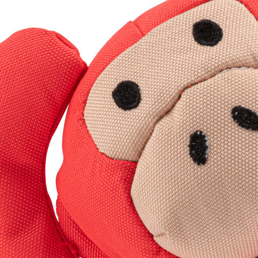 Close-up van het rode stuk speelGoed van de apenhond