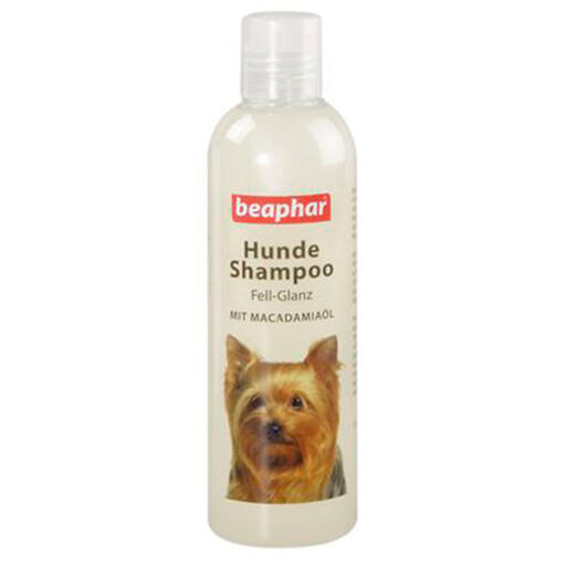 Beaphar hondenshampoo vachtglans (250ml)