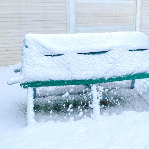Het Boughton kippenhok met een deksel erop - in de Snow.