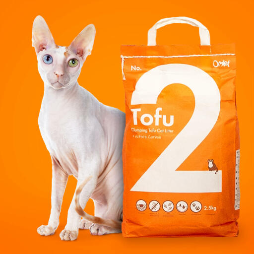 Een zak tofu kattenbakvulling met een witte kat erachter