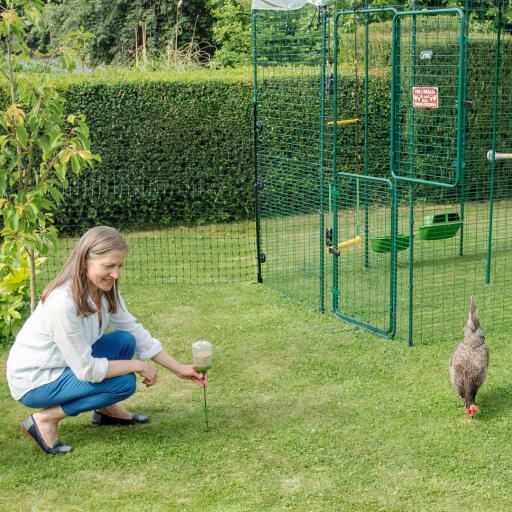 Een vrouw die kippen trakteert.