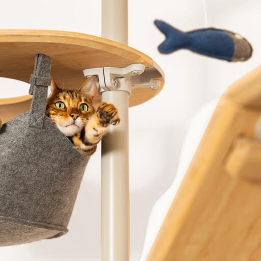 Kat zittend in hangmat van Omlet vloer tot plafond kat boom spelen met vis speelGoed