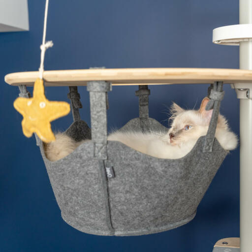 Witte kat zittend in hangmat van Omlet Freestyle vloer tot plafond kattenboom kijkend naar Omlet kat stuk speelGoed zeester