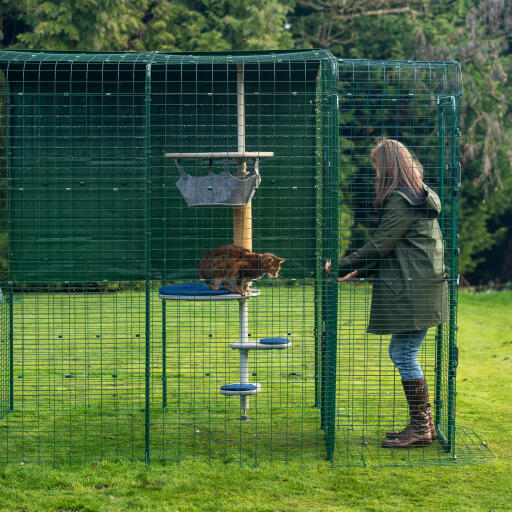 Eigenaar opent de deur naar haar buitenloopren vanuit de kattenren...