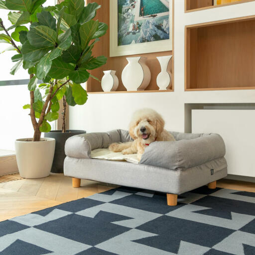 Woody de labradoodle rust uit op zijn medium Bolsterbed met stijlvolle ronde houten pootjes, die prachtig staan in elk interieur