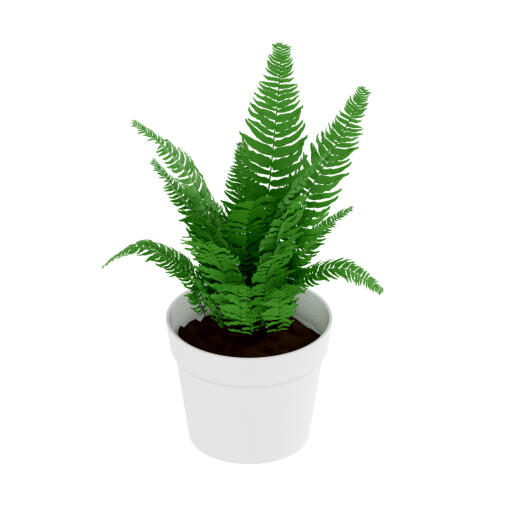 Freestyle kat boom plant pot