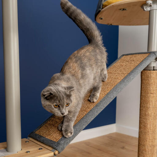 Cat on Freestyle indoor kattenboom platform van vloer tot plafond met vervangbaar sisal