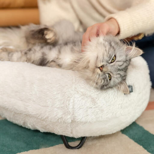 Kat ligt en wordt gekieteld op Omlet Maya donut kattenbed in Snowbal witte en zwarte haarspeld voeten