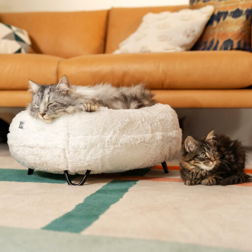 Katten rustend op de Luxurious soft donut kattenbed in Snowbal witte kleur met metalen zwarte haarspeld design voeten