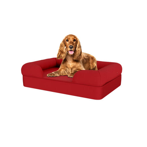 Hond zittend op medium merlot rood memory foam bolster hondenbed