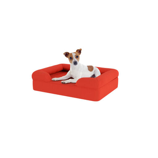 Hond zittend op klein kersen rood memory foam bolster hondenbed