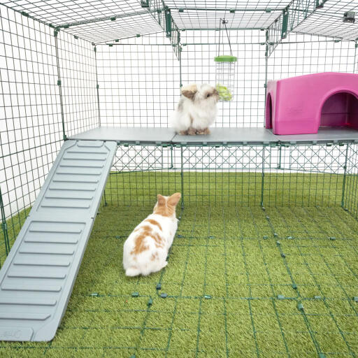 Omlet Zippi konijn box met Zippi platformen, paarse Zippi schuilplaats, Caddi traktatie houder en konijnen