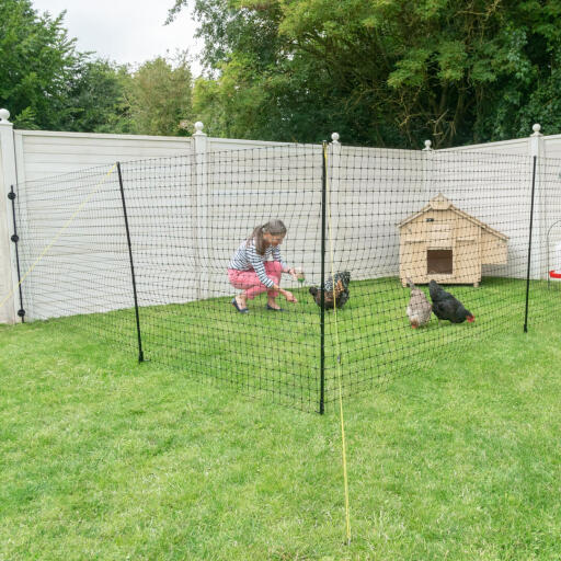 Een vrouw in een tuin die kippen binnen een omheind gebied.