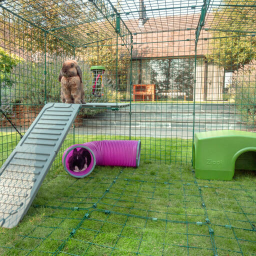 Binnenin Omlet Zippi konijnenspeelbox met Zippi platformen, groen Zippi afdak, Zippi speeltunnel, Caddi traktatiehouder en twee konijnen