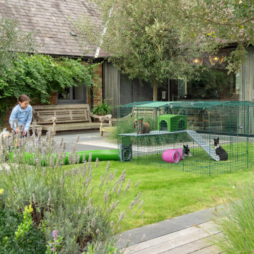 Een konijn Zippi ren in de tuin, konijn speeltunnel en groene konijn ren schuilplaats