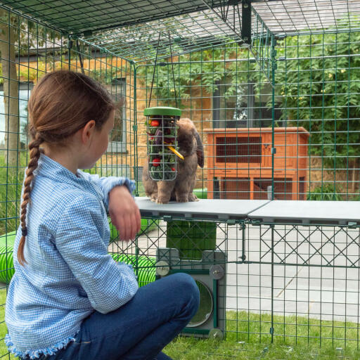 Zippi vides bieden kinderen en hun dieren een nieuwe wijze van interactie