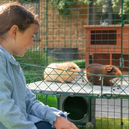 Kinderen vinden het enorm leuk om met hun dieren te kunnen spelen op ooghoogte