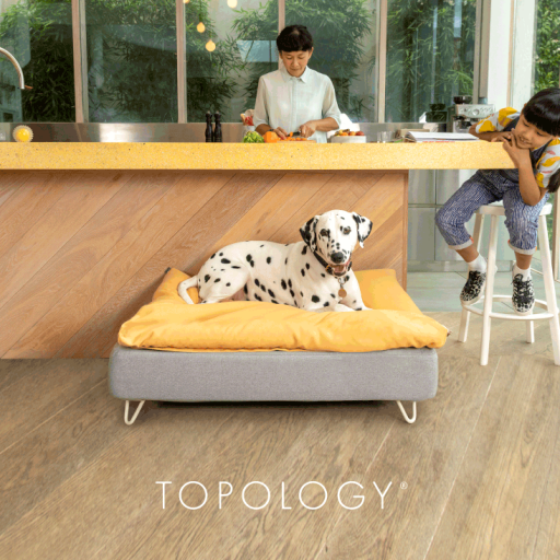 Dalmatiër liggend op Omlet Topology hondenbed met zitzak topper en witte haarspeld voeten