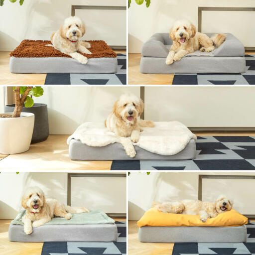 Goldendoodle Woody houdt van afwisseling; met de klok mee linksboven de microvezel, bolster, beanbag en quilted toppers