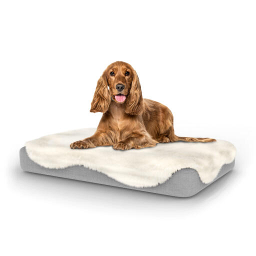 Hond zittend op medium Topology hondenbed met schapenvacht topper