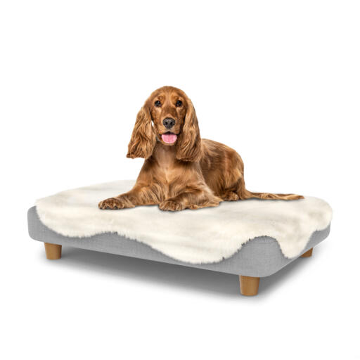 Hond zittend op een medium Topology hondenbed met schapenvacht topper en houten ronde poten