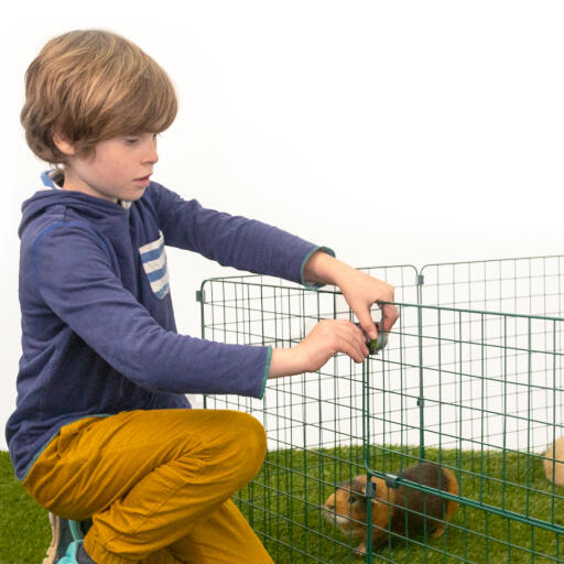 Een jongetje dat een Zippi slot op een cavia zet Zippi ren