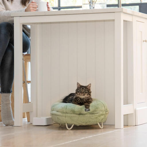 Kat in een keuken, ontspannen in het superzachte mintgroene donutbed