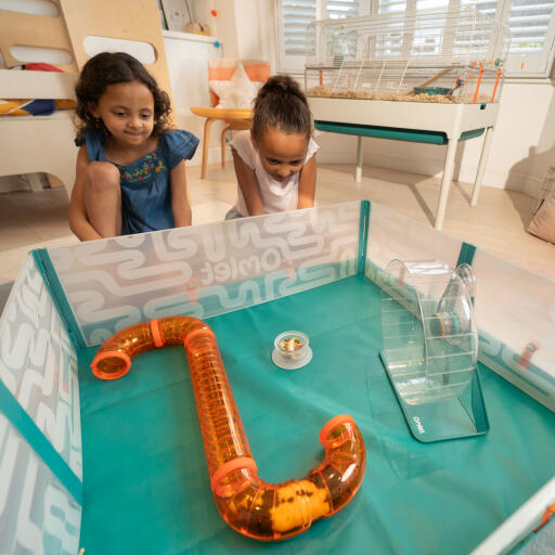 Twee kinderen kijken naar hun hamster in de startertunnels in de Omlet hamsterbox