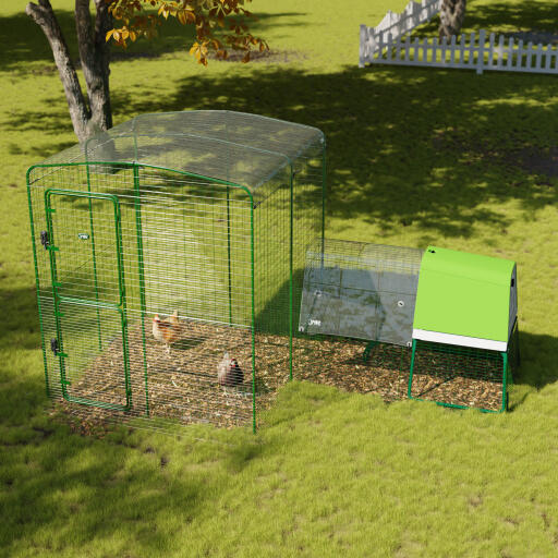 Transparante afdekking voor kippenren in tuin 2x2
