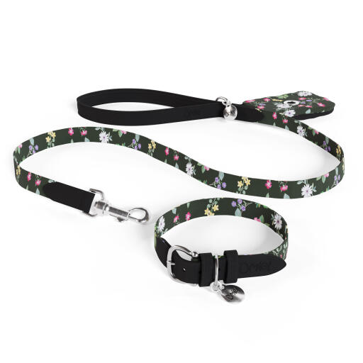 Hondenriem, halsband en poepzakhouder als bundel