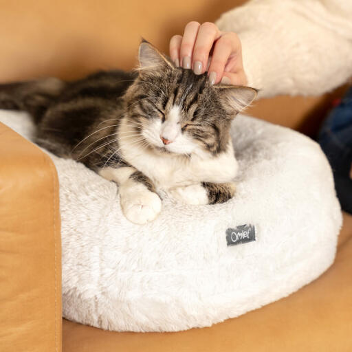 Het donutkussen biedt steun en behoudt zijn vorm, voor een eindeloos knuffelig, warm gevoel