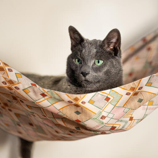 Kat kijkt naar buiten vanuit een indoor Freestyle kattenligstoel