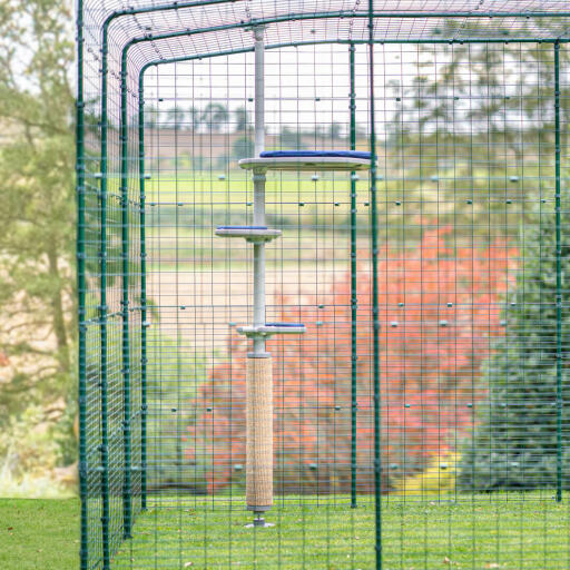 Verlengde veilige outdoor catio walk in run voor katten en kittens met Freestyle outdoor kattenboom erin