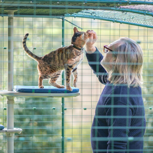 Man en kat in een kattenverblijf die genieten van de gepersonaliseerde buitenkattenboom