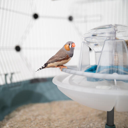 Geo voederbak en drinkbak voor vogelkooien