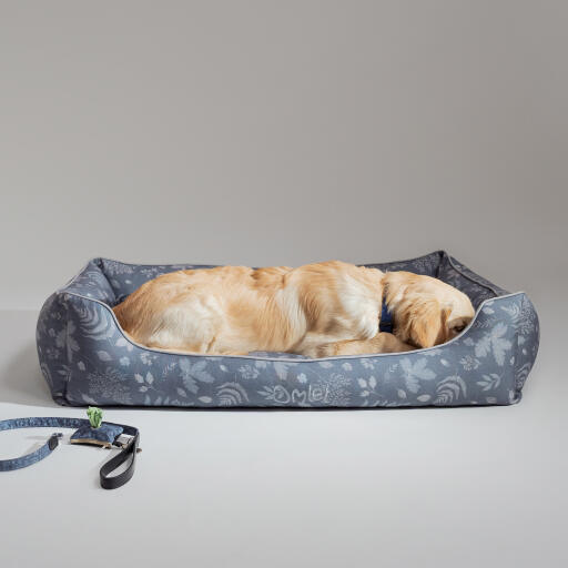 Golden retriever opgekruld in een Omlet nestbed in het bos herfstpatroon