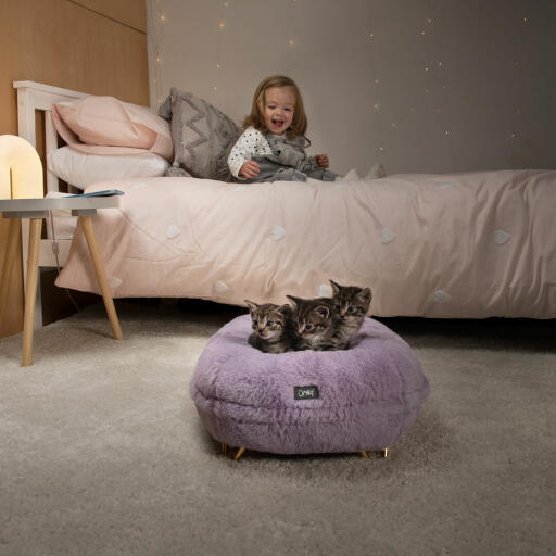 Peuter die kijkt naar haar kittens die slapen in hun zachte donut kattenbed