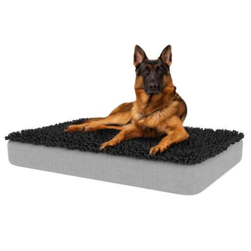 Groot Topology hondenbed met grijze microvezel topper