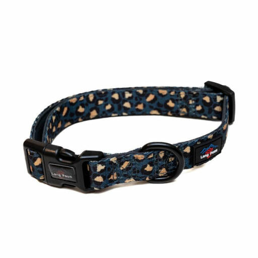 Funk the dog collar | leopard green & Gold